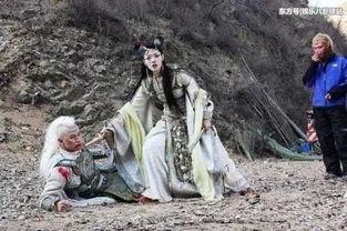 孙悟空吃瓜子图片,品味瓜子的奇幻之旅